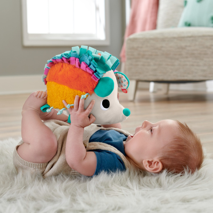 FISHER PRICE ARICIUL CU ACTIVITATI SENZORIALE [3]