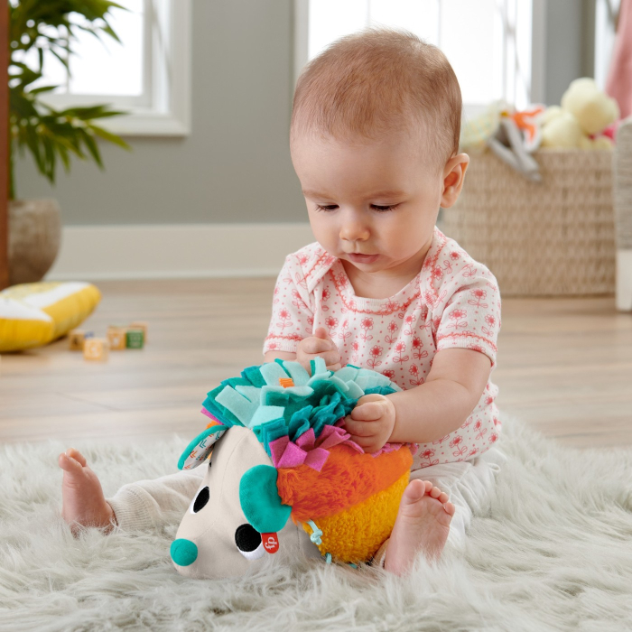 FISHER PRICE ARICIUL CU ACTIVITATI SENZORIALE [5]