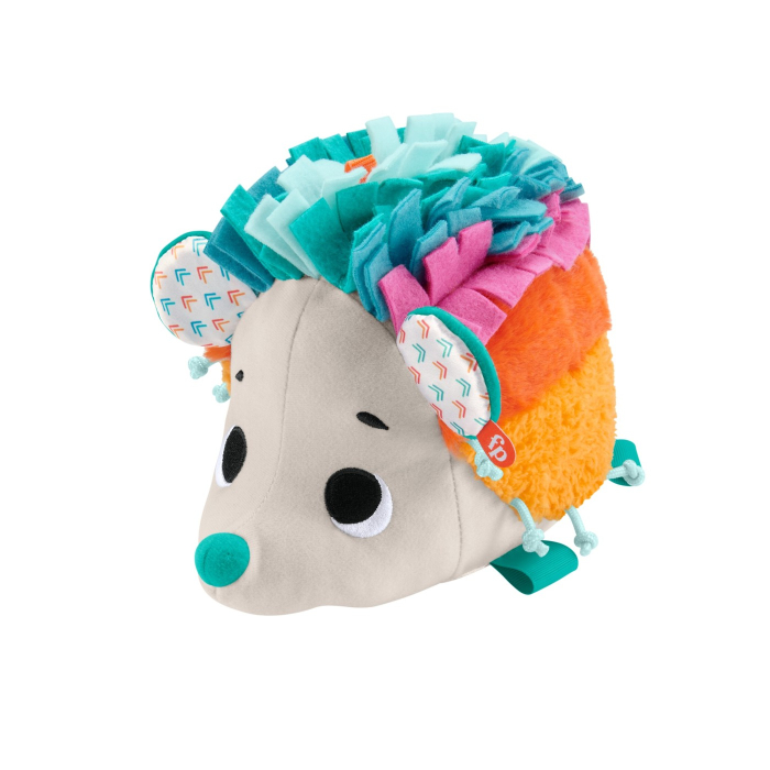 FISHER PRICE ARICIUL CU ACTIVITATI SENZORIALE [2]