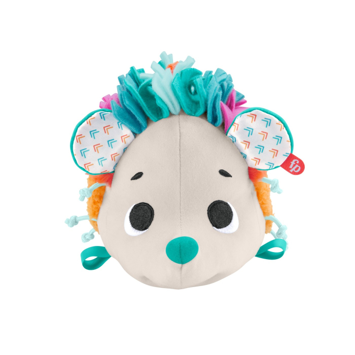 FISHER PRICE ARICIUL CU ACTIVITATI SENZORIALE [8]