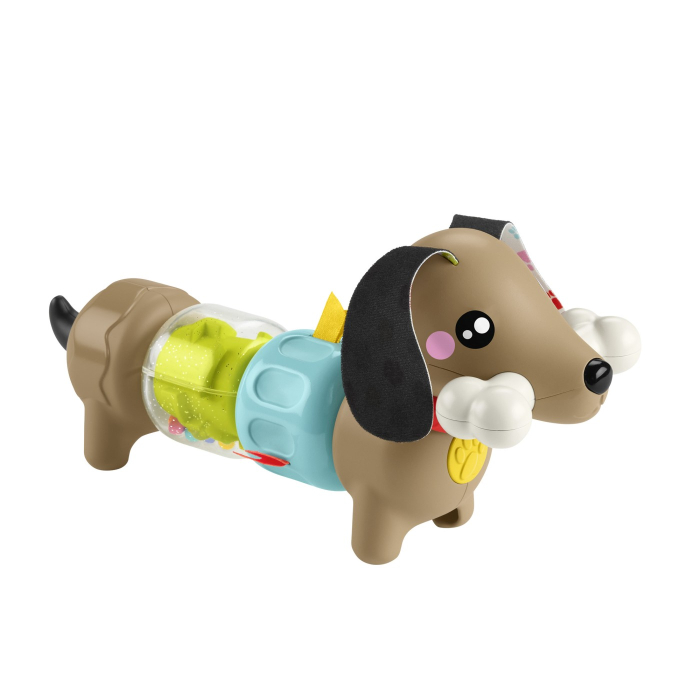 FISHER PRICE JUCARIE CATELUS DE ACTIVITATE PENTRU BEBELUSI CLICK AND SPIN [7]