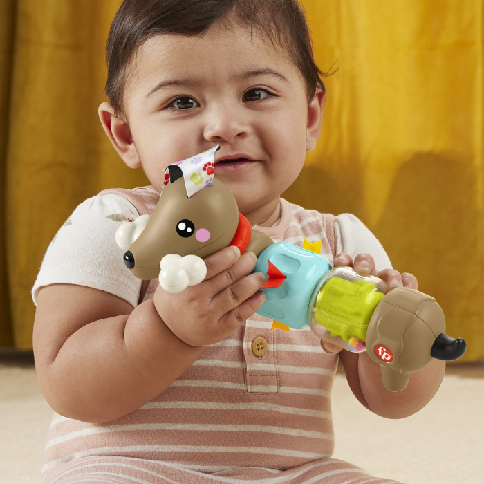 FISHER PRICE JUCARIE CATELUS DE ACTIVITATE PENTRU BEBELUSI CLICK AND SPIN [3]
