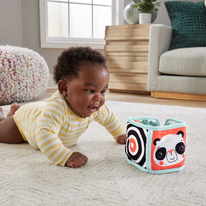 FISHER PRICE PANOU CU ACTIVITATI [4]