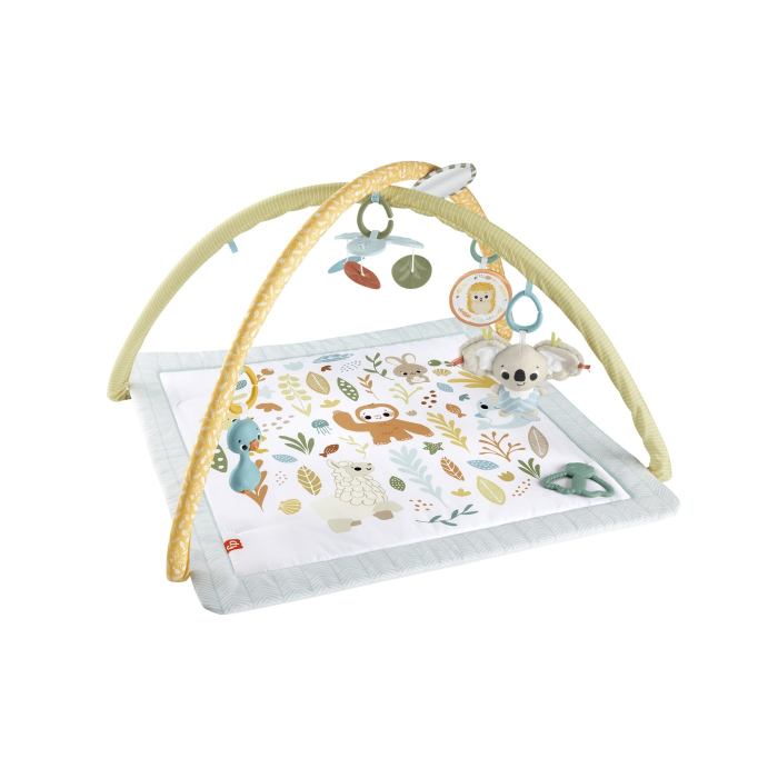 FISHER PRICE SALTELUTA DE ACTIVITATI [4]