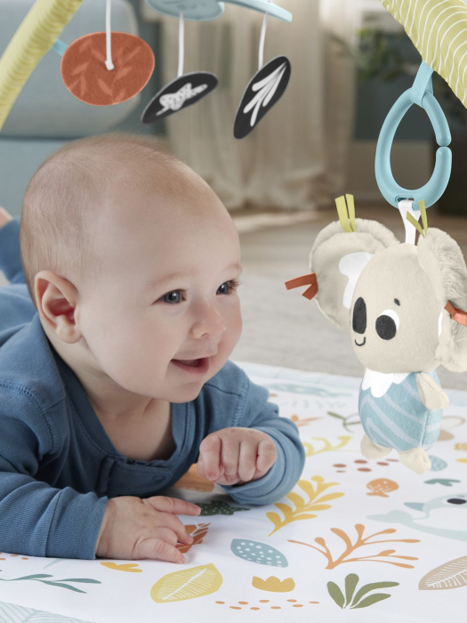 FISHER PRICE SALTELUTA DE GIMNASTICA PENTRU NOU NASCUTI [9]