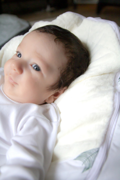 Fotoliu pentru bebelusi cu ham de siguranta BabyJem (Culoare: Gri) [8]