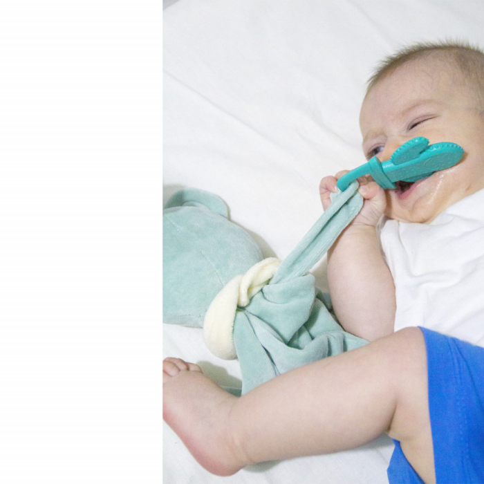 Jucarie atasament cu jucarie dentitie Sleeping Friend BabyJem (Culoare: Roz) [9]