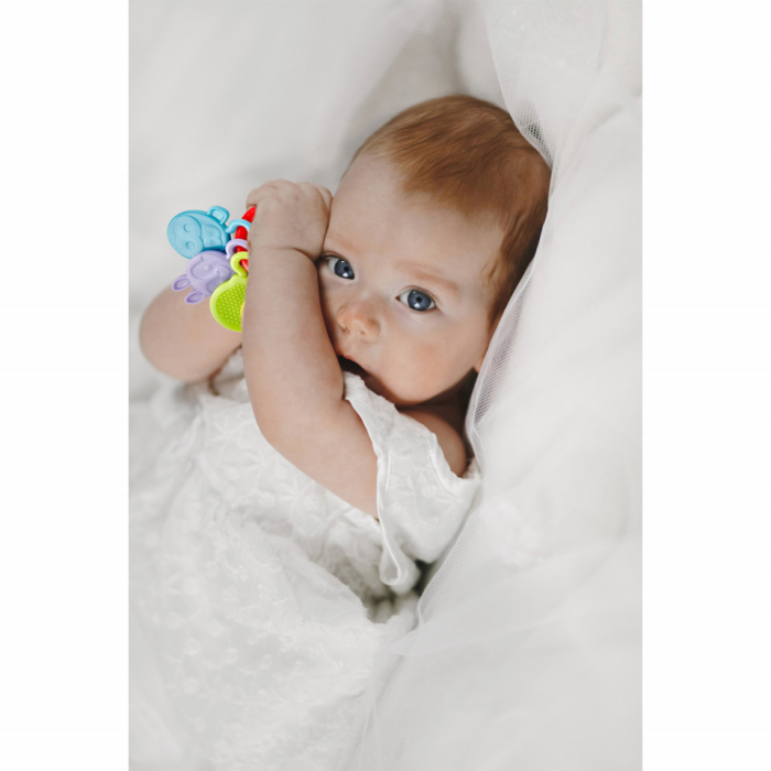 Jucarie dentitie Rattle Teether BabyJem (Culoare: Rosu) [9]