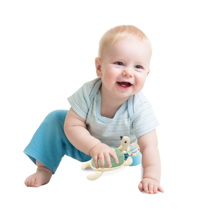 Jucarie zornaitoare BabyJem, Broscuta testoasa din plus, 3 luni+ (Culoare: Maro) [9]