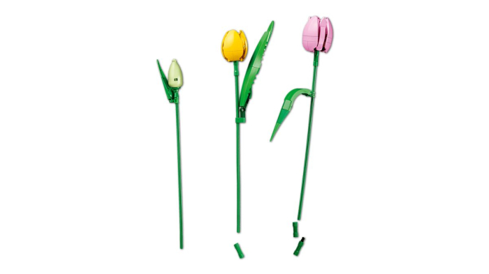 LEGO BOTANICALS BUCHET DE LALELE 11501 [6]