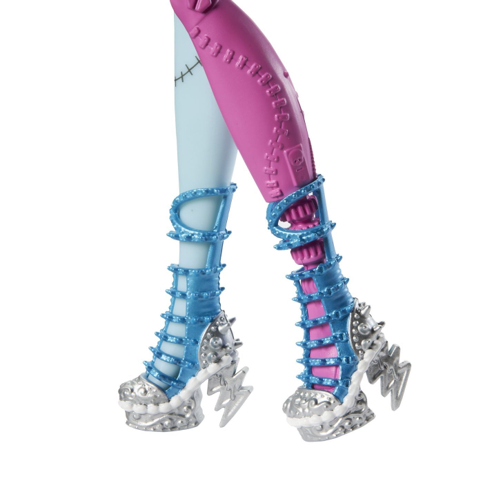 MONSTER HIGH ZIUA DE NASTERE DULCE SI INFRICOSATOARE PAPUSA FRANKIESTEIN CU ACCESORII [6]
