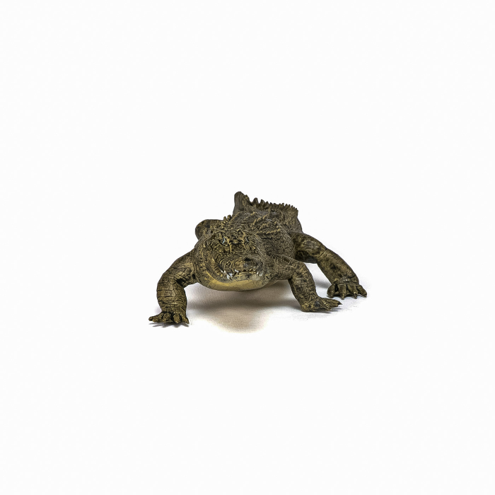 PAPO FIGURINA ALIGATOR [4]