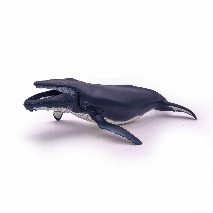 PAPO FIGURINA BALENA CU COCOASA [4]