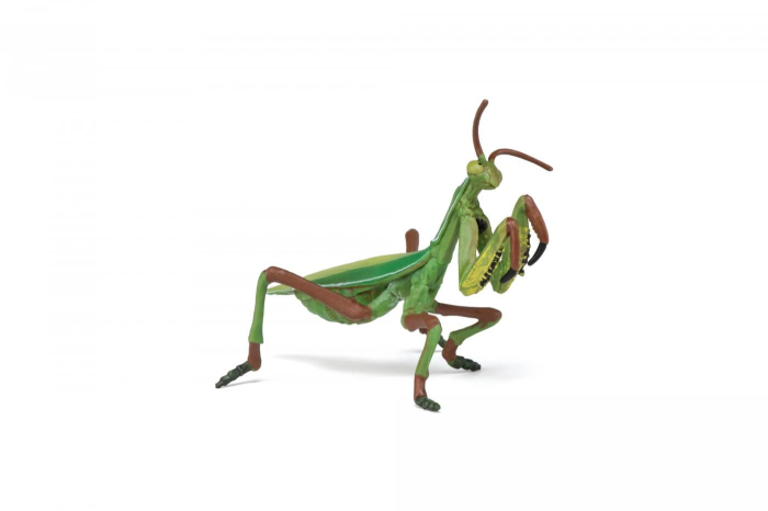 PAPO FIGURINA CALUGARITA [5]