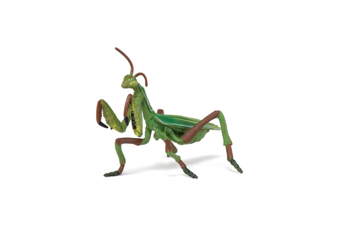 PAPO FIGURINA CALUGARITA [3]