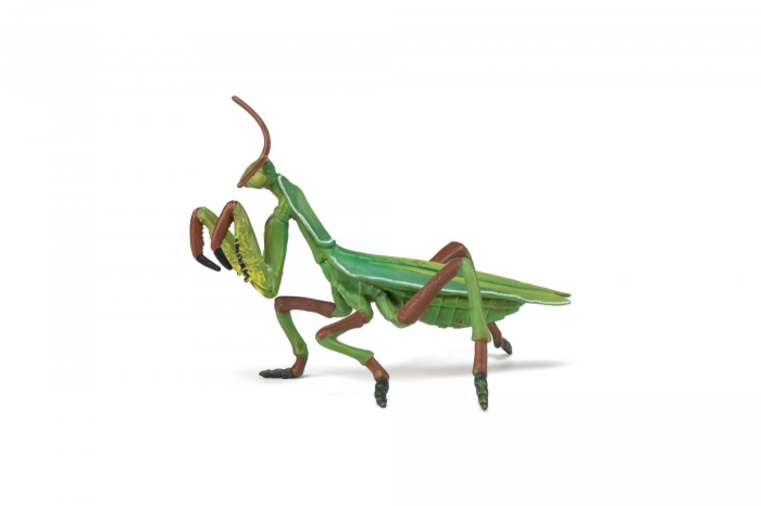 PAPO FIGURINA CALUGARITA [2]