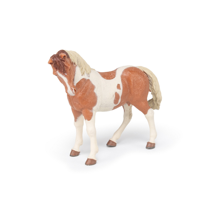 PAPO FIGURINA CALUL PINTO [2]