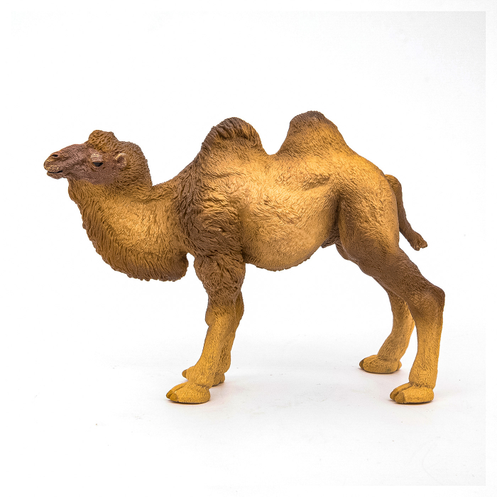 PAPO FIGURINA CAMILA BACTRIANA [7]