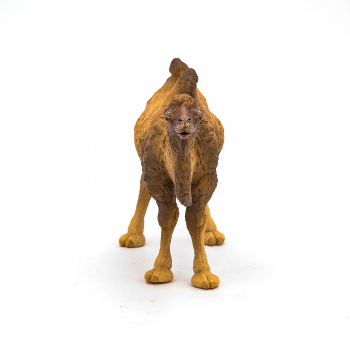 PAPO FIGURINA CAMILA BACTRIANA [5]
