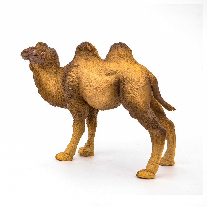 PAPO FIGURINA CAMILA BACTRIANA [8]