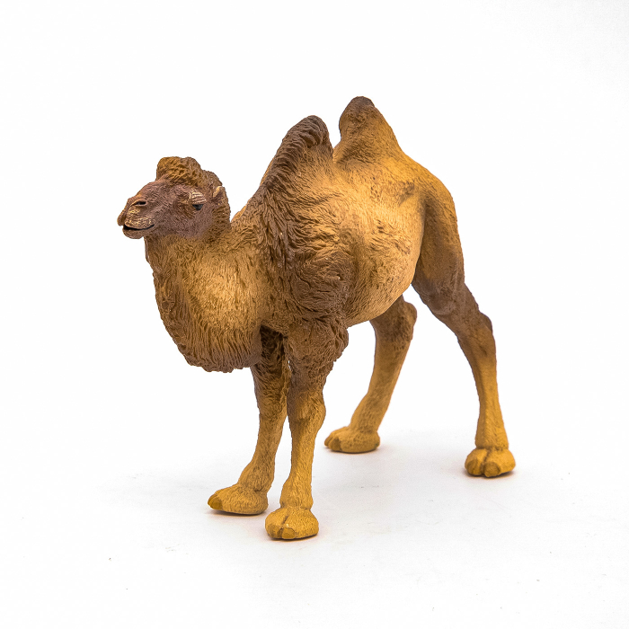 PAPO FIGURINA CAMILA BACTRIANA [6]