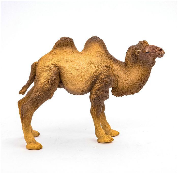 PAPO FIGURINA CAMILA BACTRIANA [2]