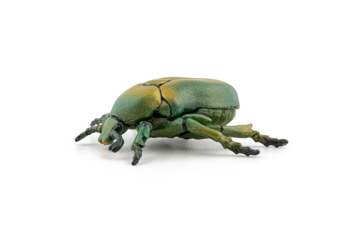 PAPO FIGURINA CARABUS [4]