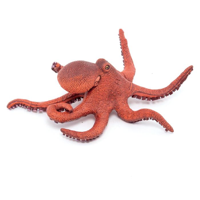PAPO FIGURINA CARACATITA MICA [7]