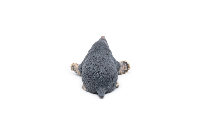 PAPO FIGURINA CARTITA [7]