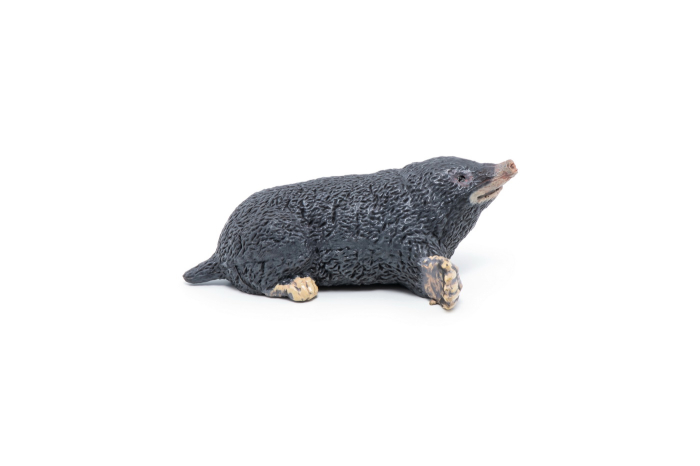 PAPO FIGURINA CARTITA [2]