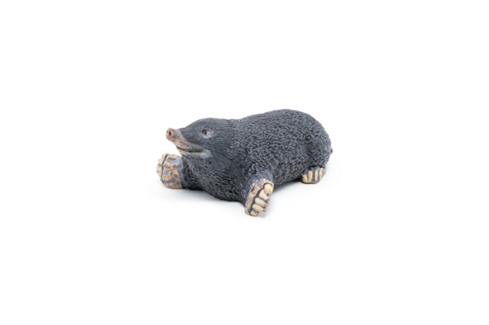 PAPO FIGURINA CARTITA [5]