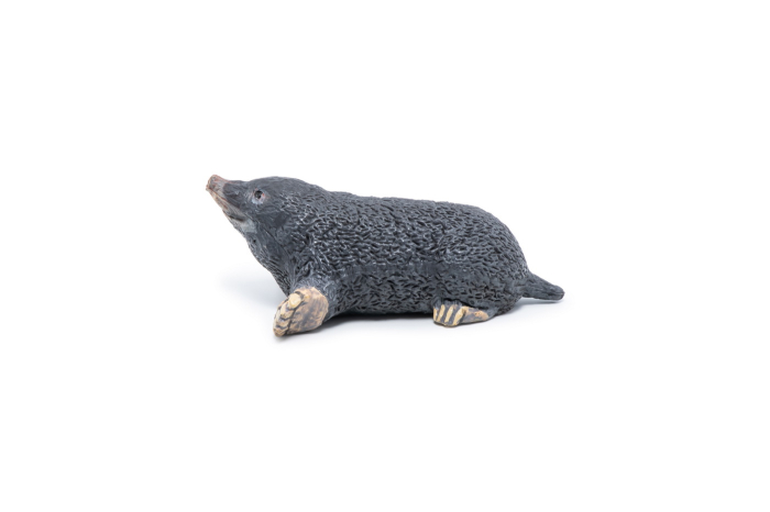PAPO FIGURINA CARTITA [6]
