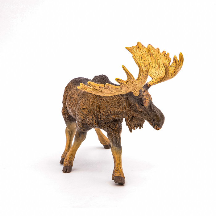 PAPO FIGURINA ELAN [5]
