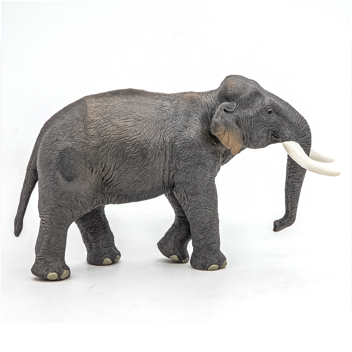 PAPO FIGURINA ELEFANT ASIATIC [2]
