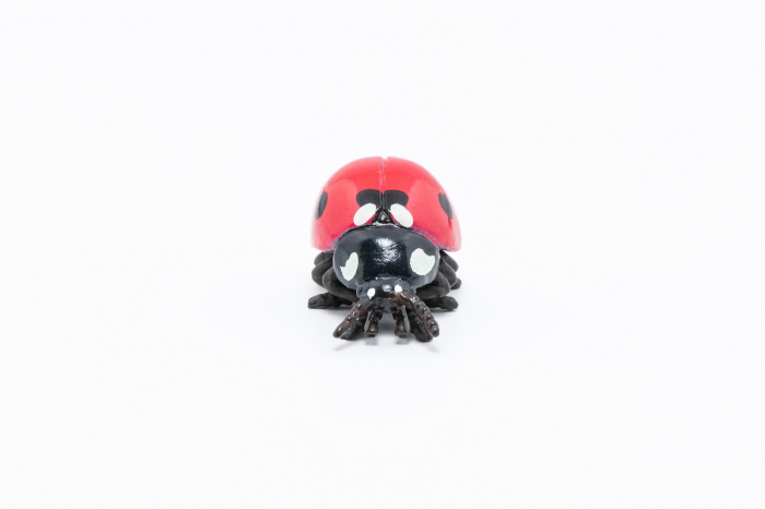 PAPO FIGURINA GARGARITA [3]