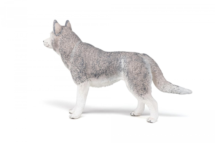 PAPO FIGURINA HUSKY SIBERIAN [6]