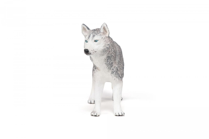 PAPO FIGURINA HUSKY SIBERIAN [4]