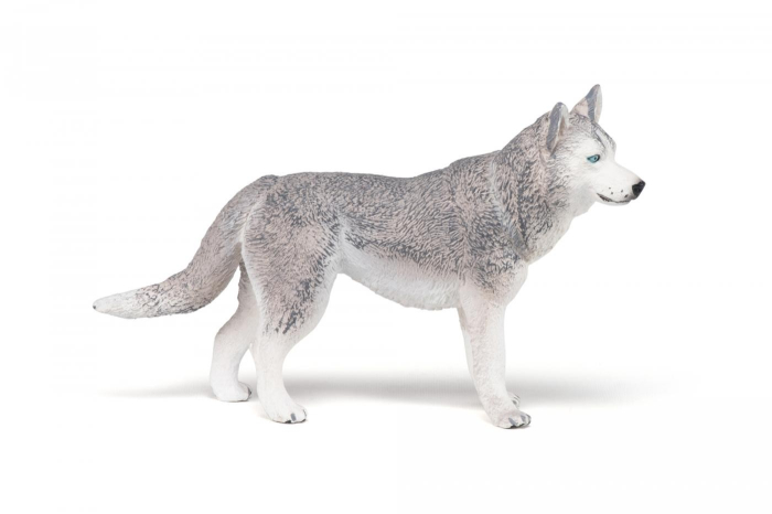 PAPO FIGURINA HUSKY SIBERIAN [2]