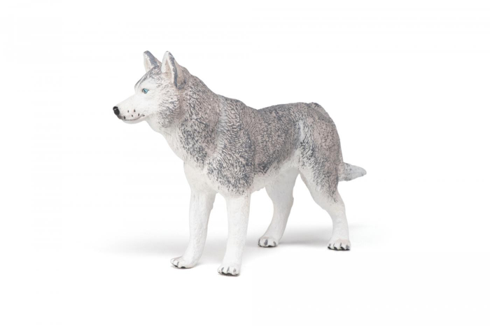 PAPO FIGURINA HUSKY SIBERIAN [5]