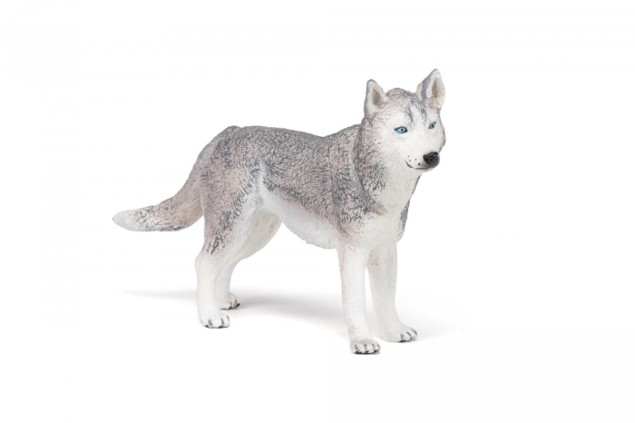 PAPO FIGURINA HUSKY SIBERIAN [3]