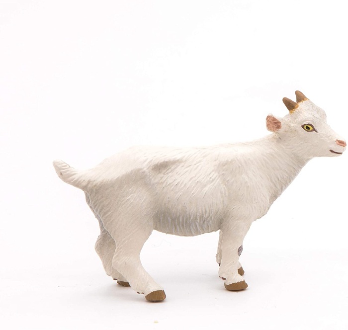 PAPO FIGURINA IED ALB [5]