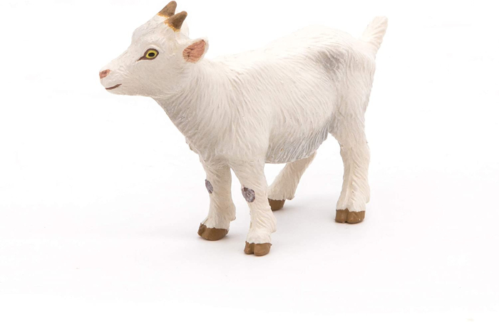 PAPO FIGURINA IED ALB [3]