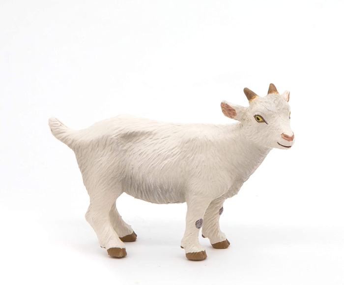 PAPO FIGURINA IED ALB [2]