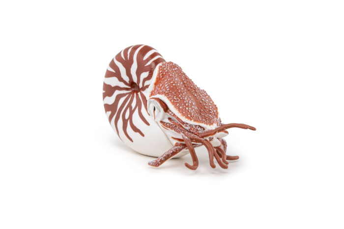 PAPO FIGURINA NAUTILUS [2]