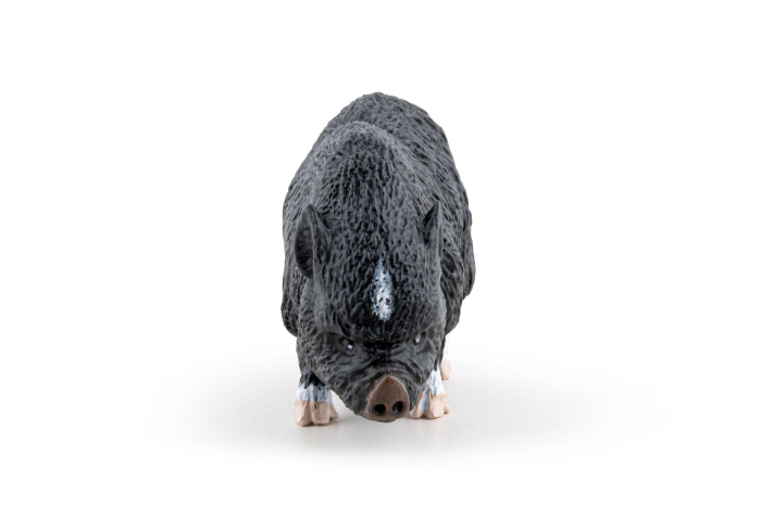 PAPO FIGURINA PORC VIETNAMEZ [4]