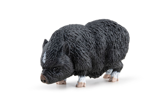 PAPO FIGURINA PORC VIETNAMEZ [5]