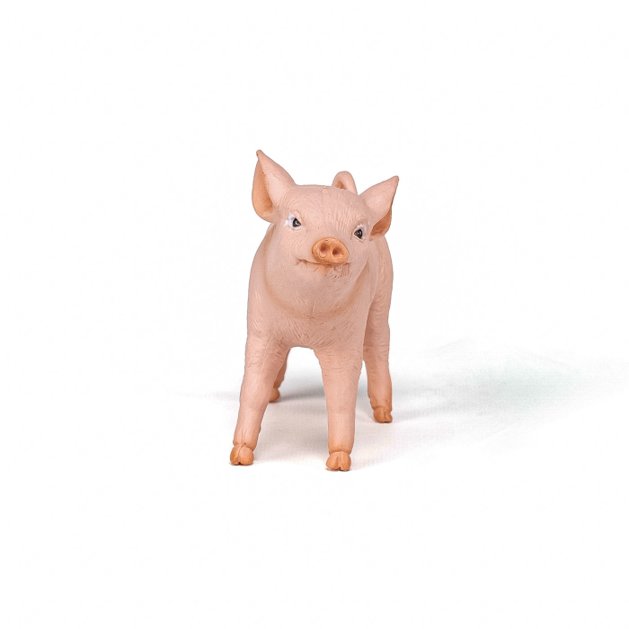 PAPO FIGURINA PURCICA [4]