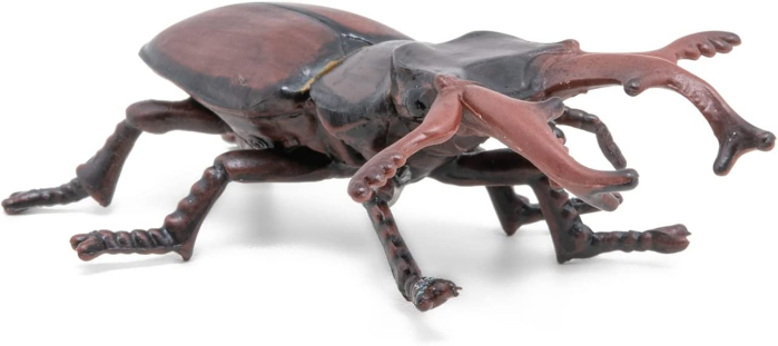 PAPO FIGURINA RADASCA [5]