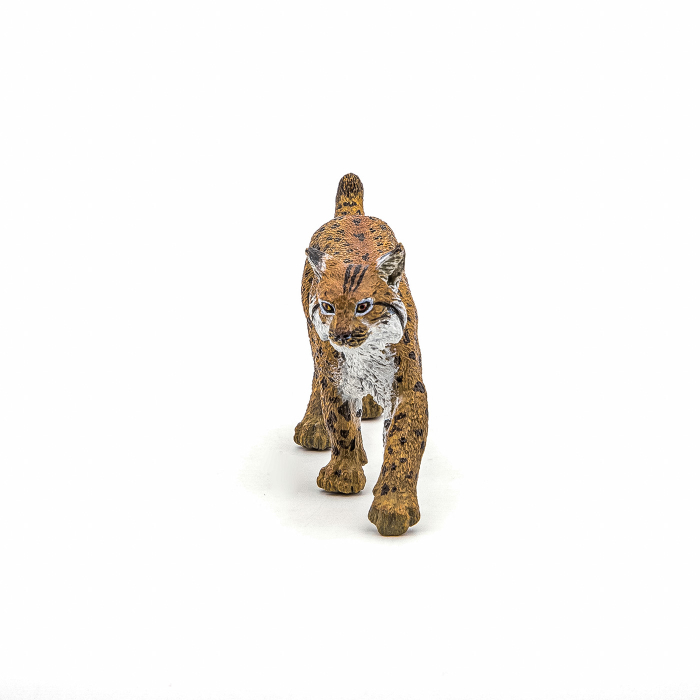 PAPO FIGURINA RAS [4]
