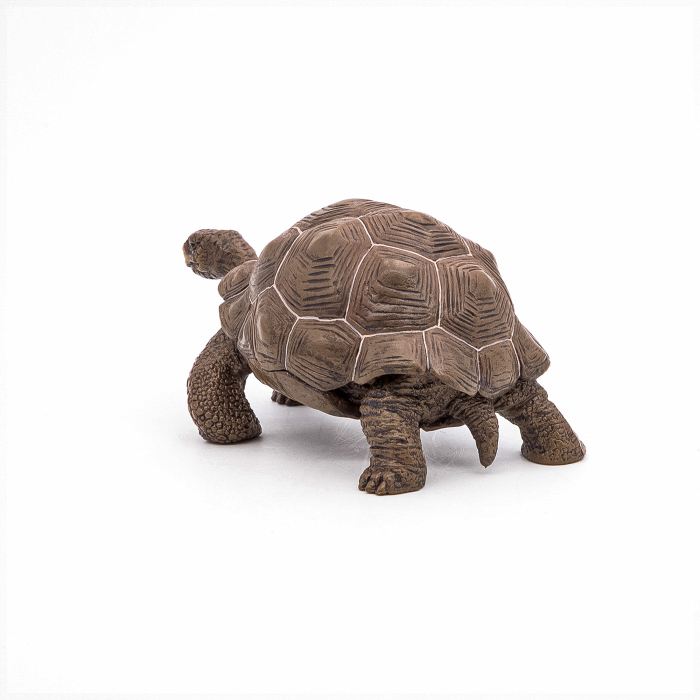 PAPO FIGURINA TESTOASA GALAPAGOS [8]